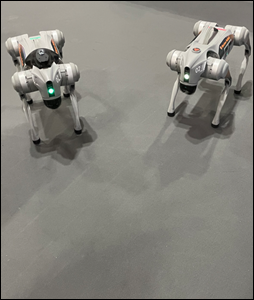 Robot Dog